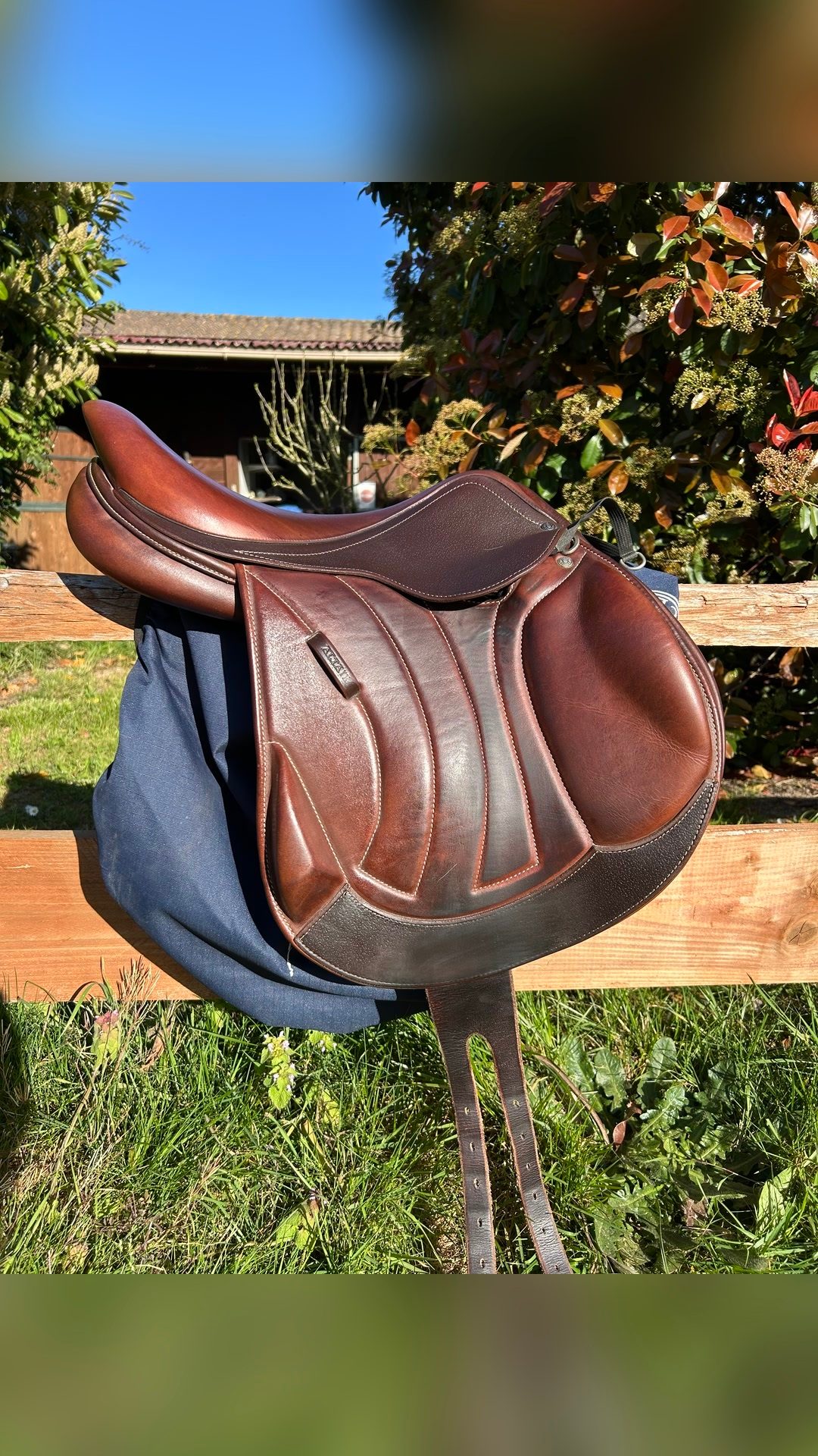 Selle Antares altaïr, média 6