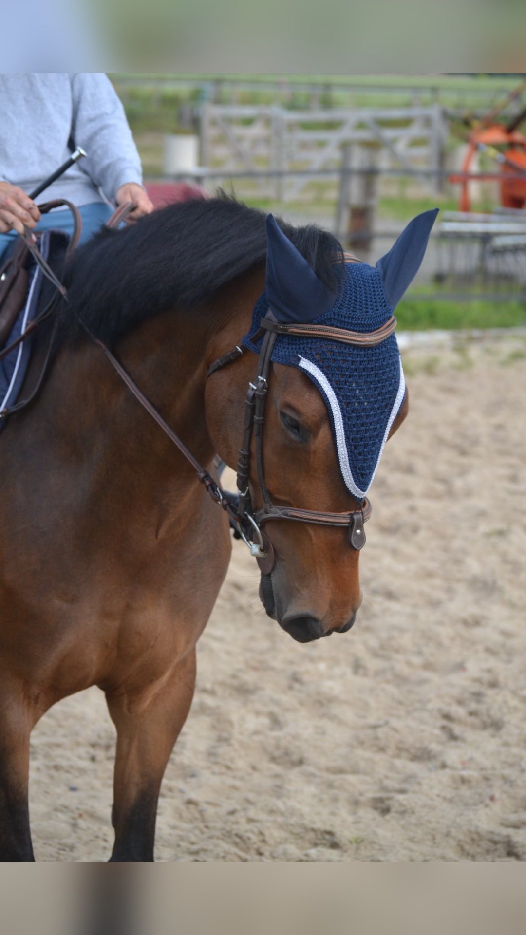 Bonnet cheval, média 4