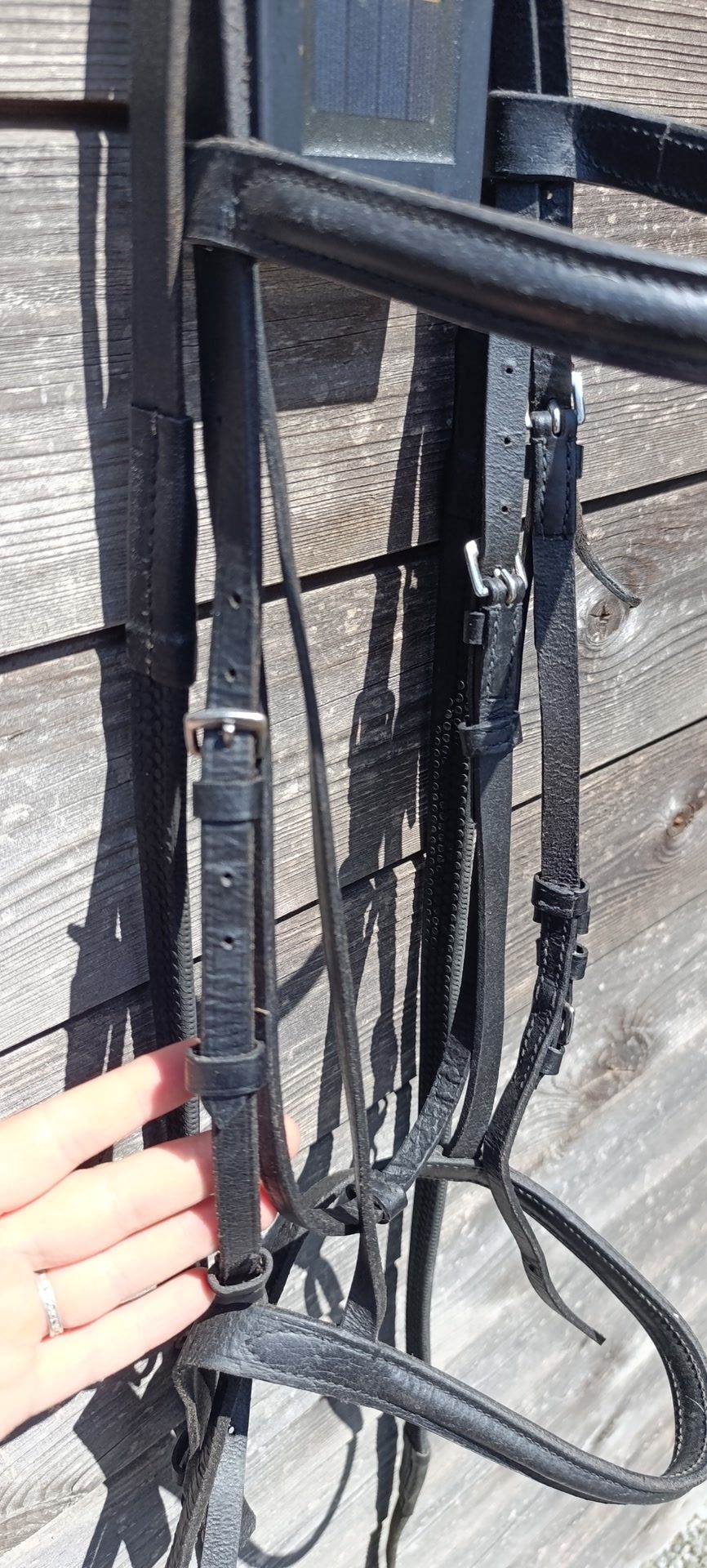 Bridon cuir + rênes, média 4