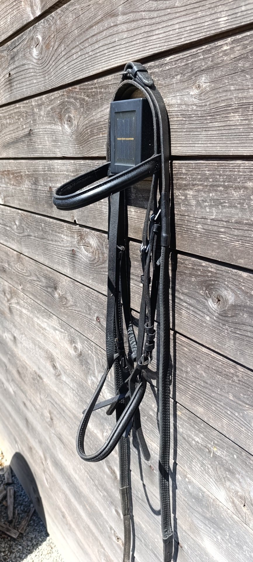 Bridon cuir + rênes, média 2