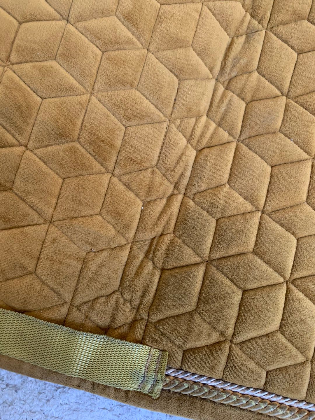 Tapis kentucky, média 5