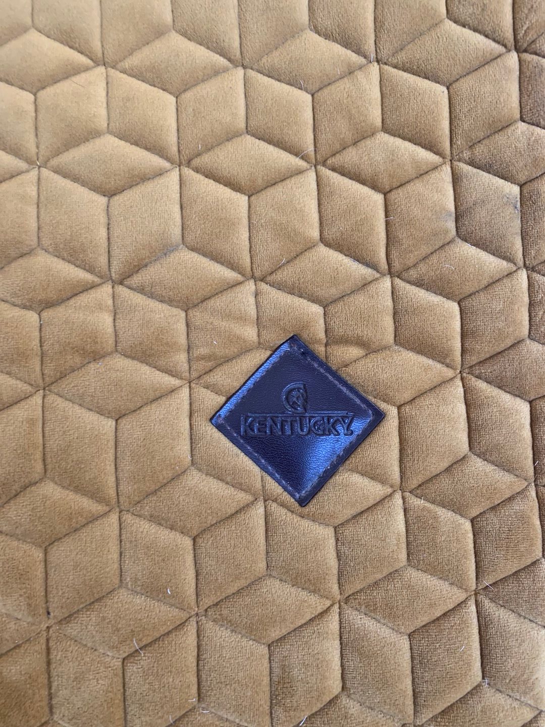 Tapis kentucky, média 2