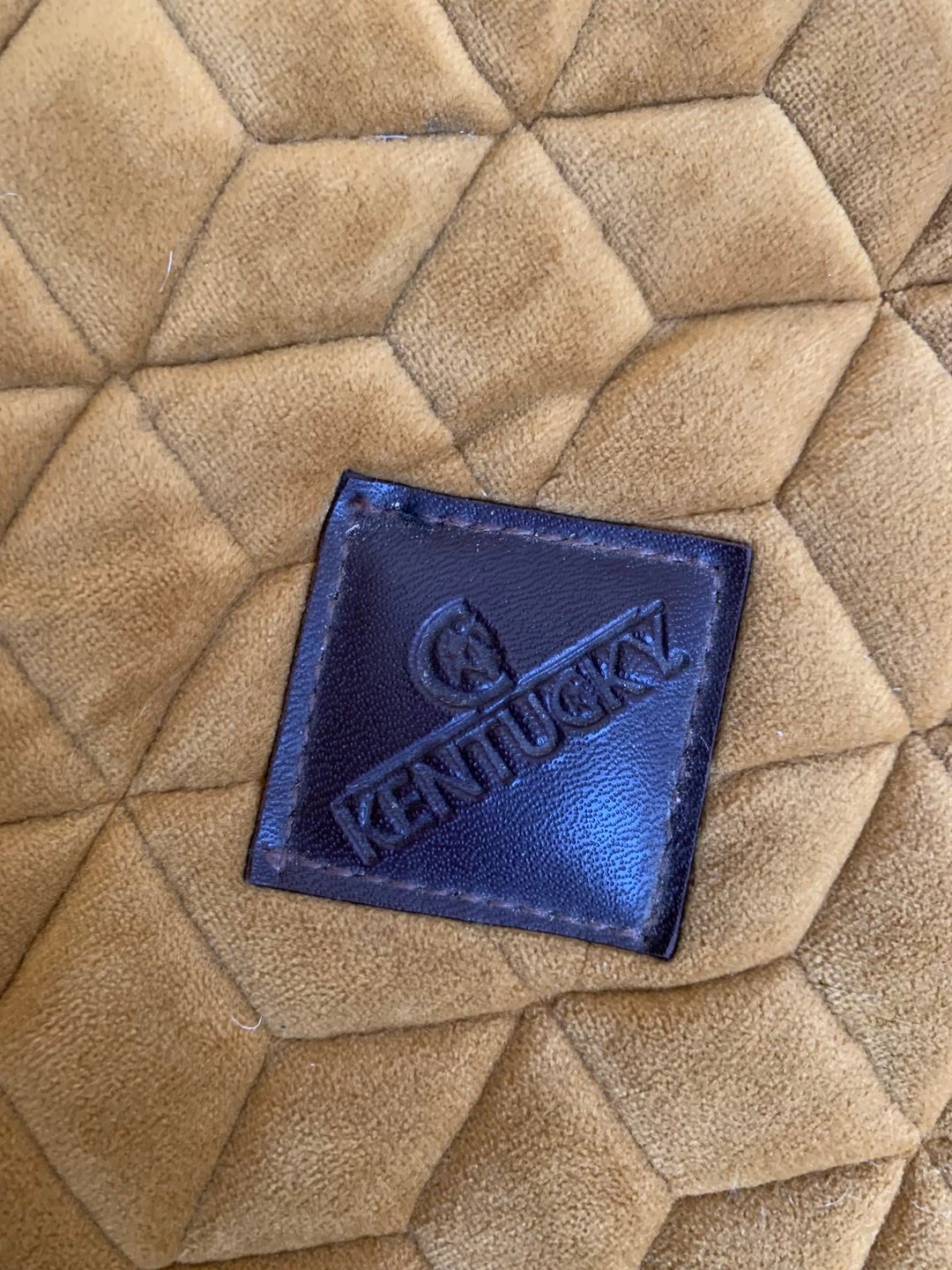 Tapis kentucky, média 9