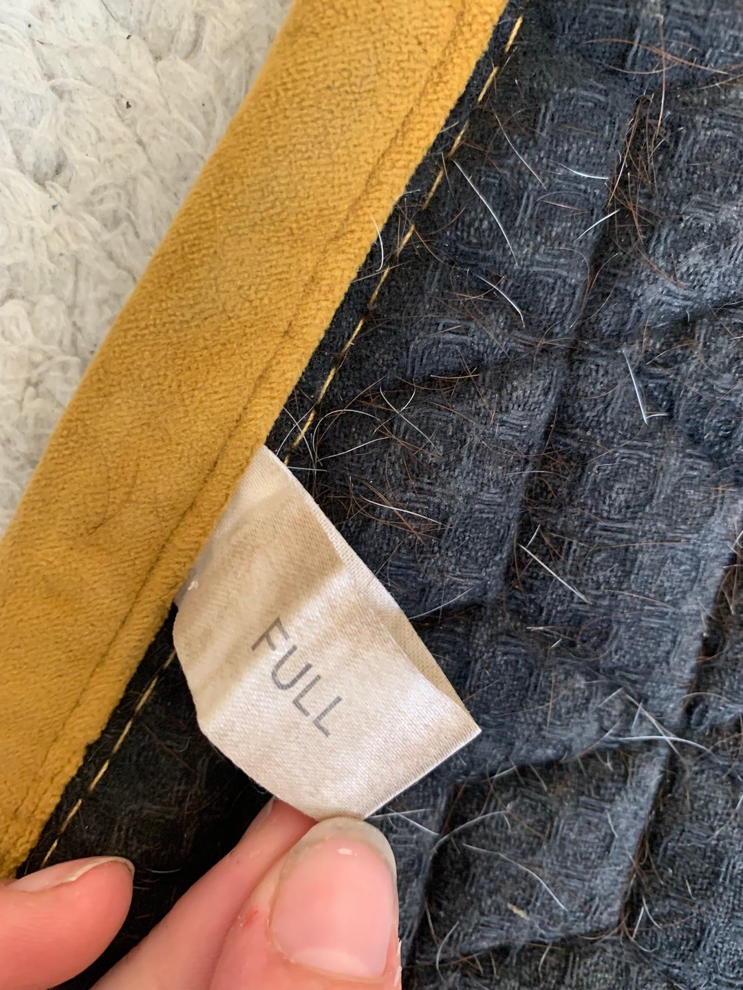 Tapis kentucky, média 7
