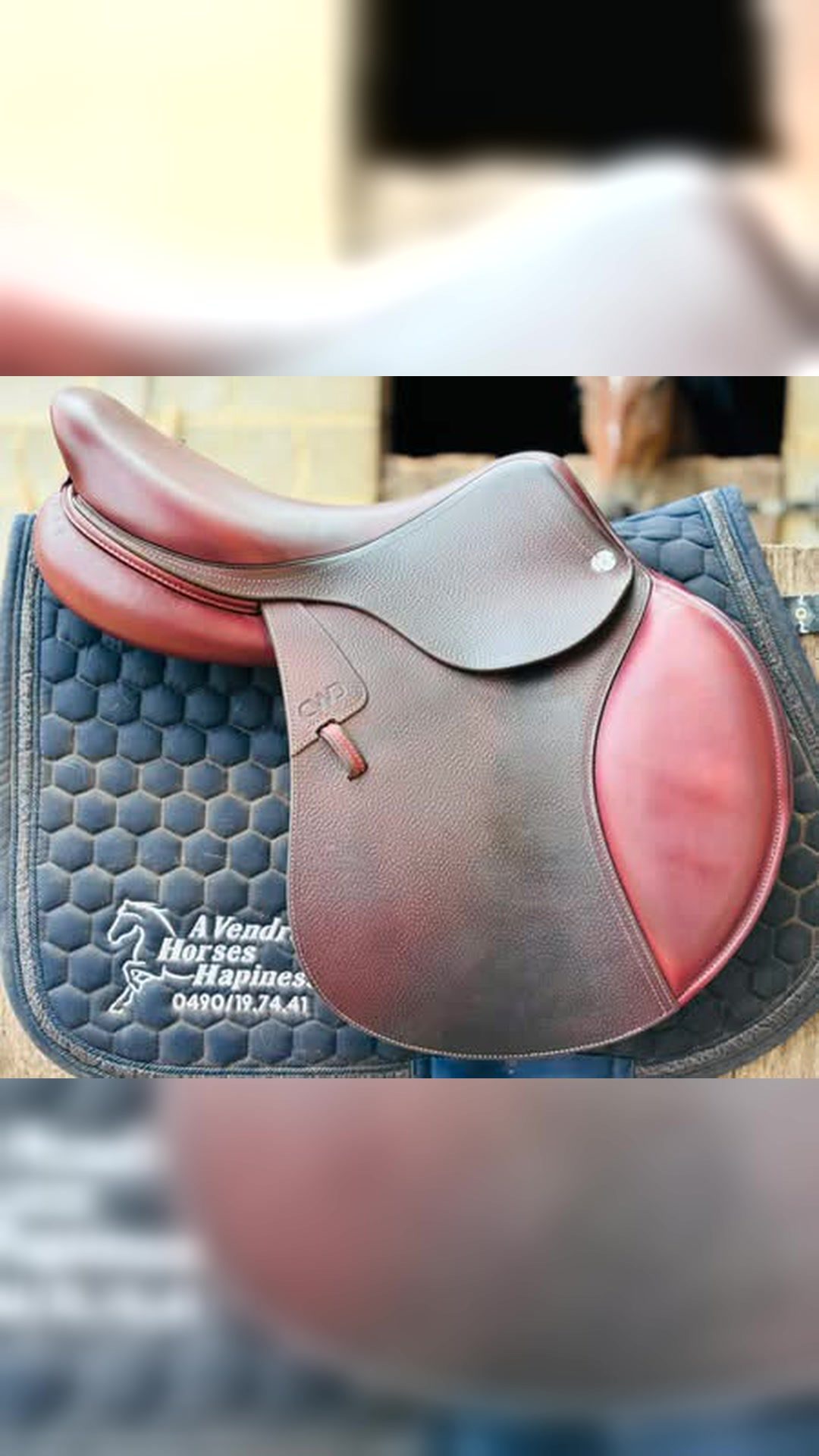 ✨ EXCELLENTE OPPORTUNITÉ – Selle CWD SE01 2024 ✨, média 2
