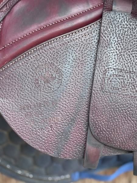 ✨ EXCELLENTE OPPORTUNITÉ – Selle CWD SE01 2024 ✨, média 4