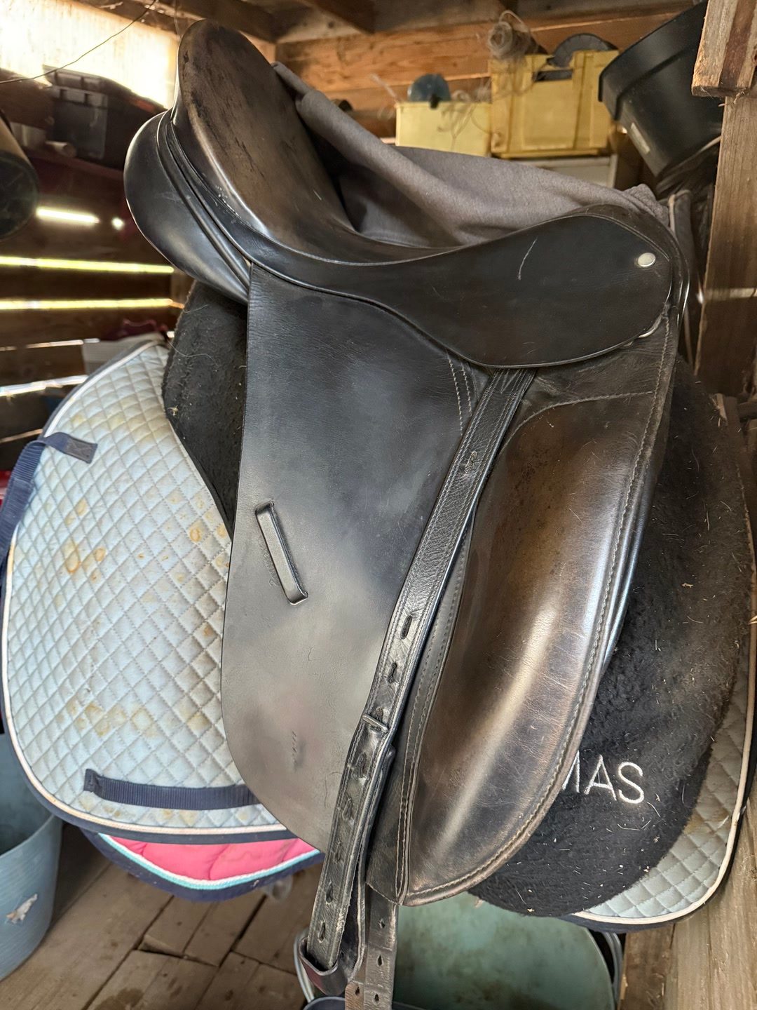 Selle dressage, média 2