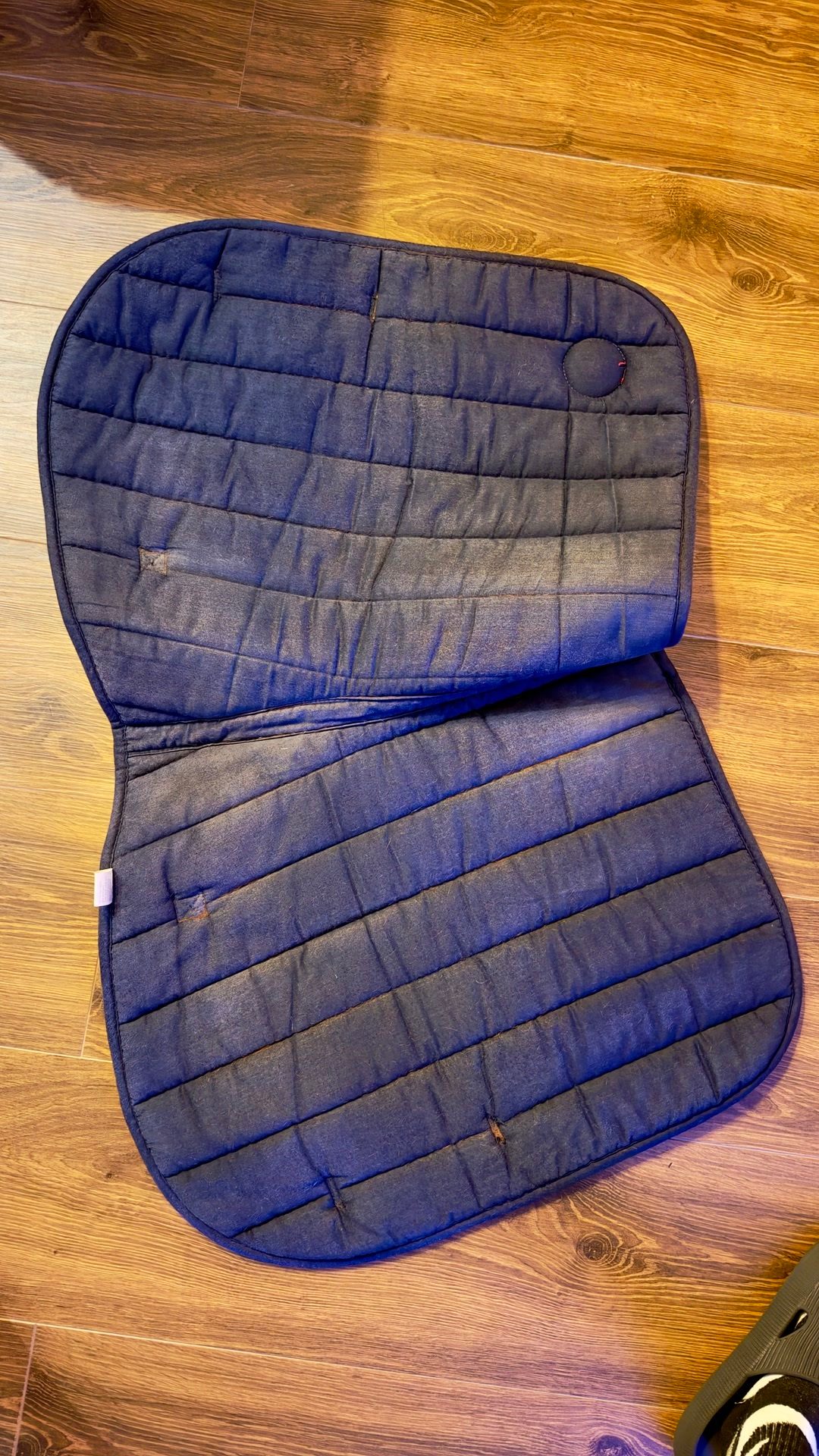 Tapis de selle Nicolas Touzaint, média 3