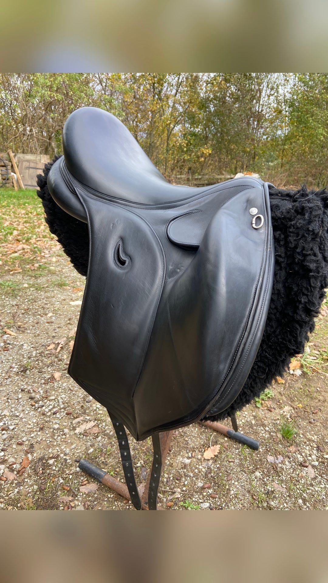 Selle Devoucoux koricao, média 5