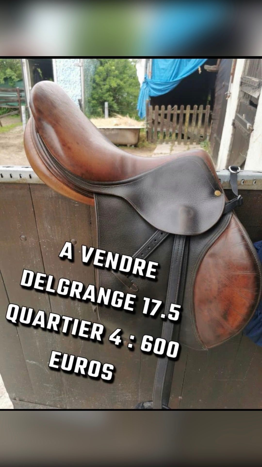 Selle, média 5