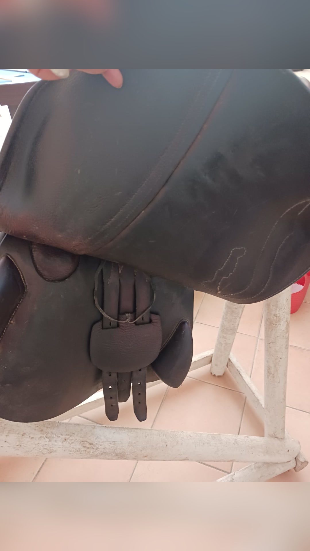 Selle antares 17,5, média 9