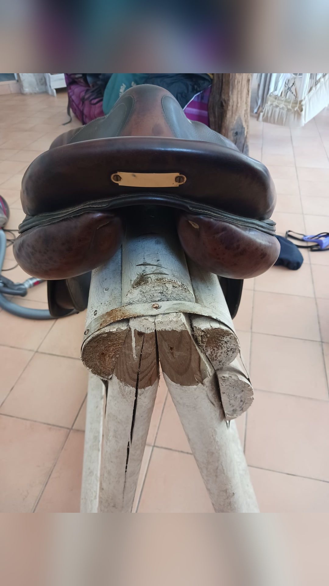 Selle antares 17,5, média 4