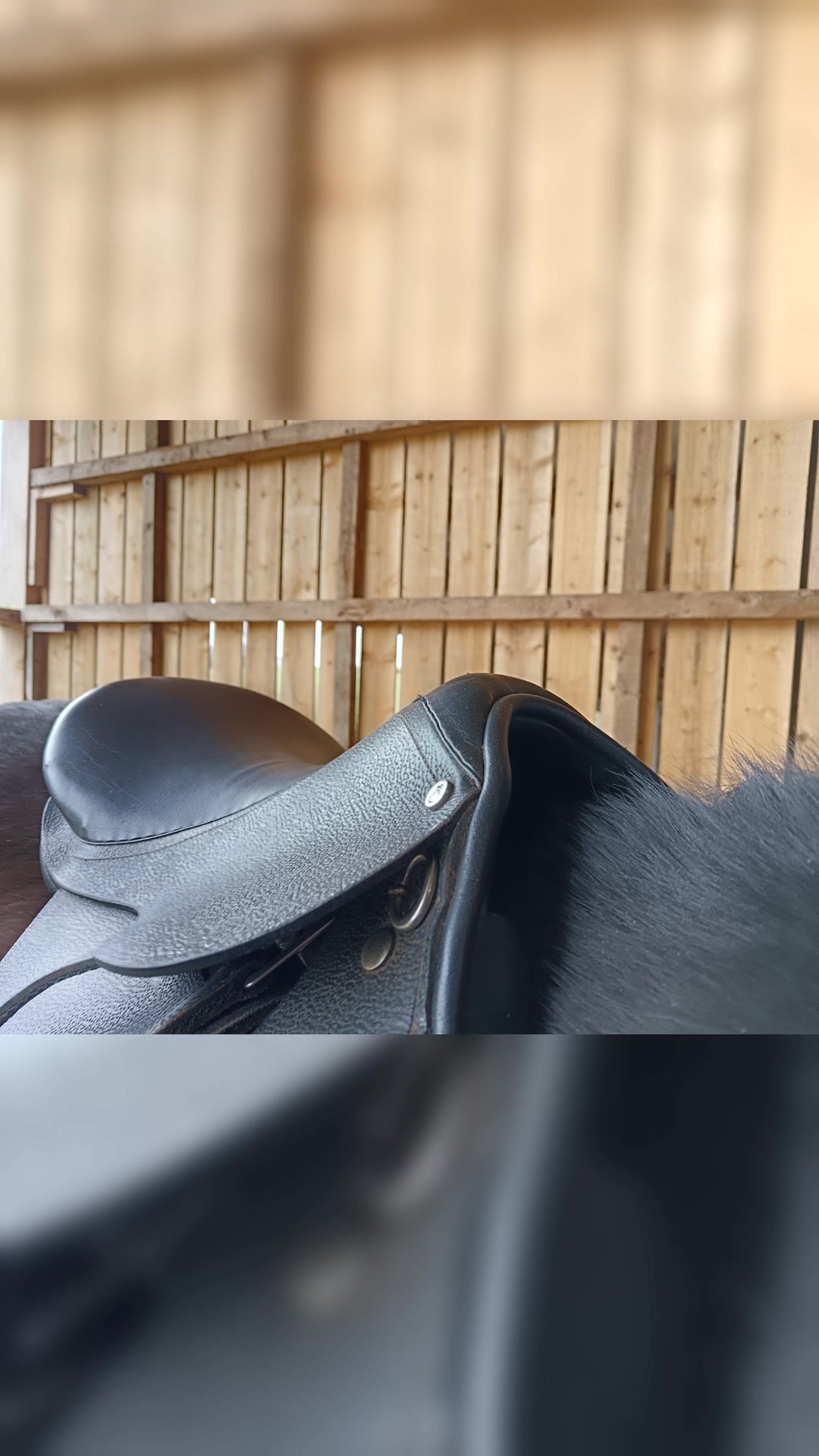 Selle mixte cuir 17,5" complète, média 3