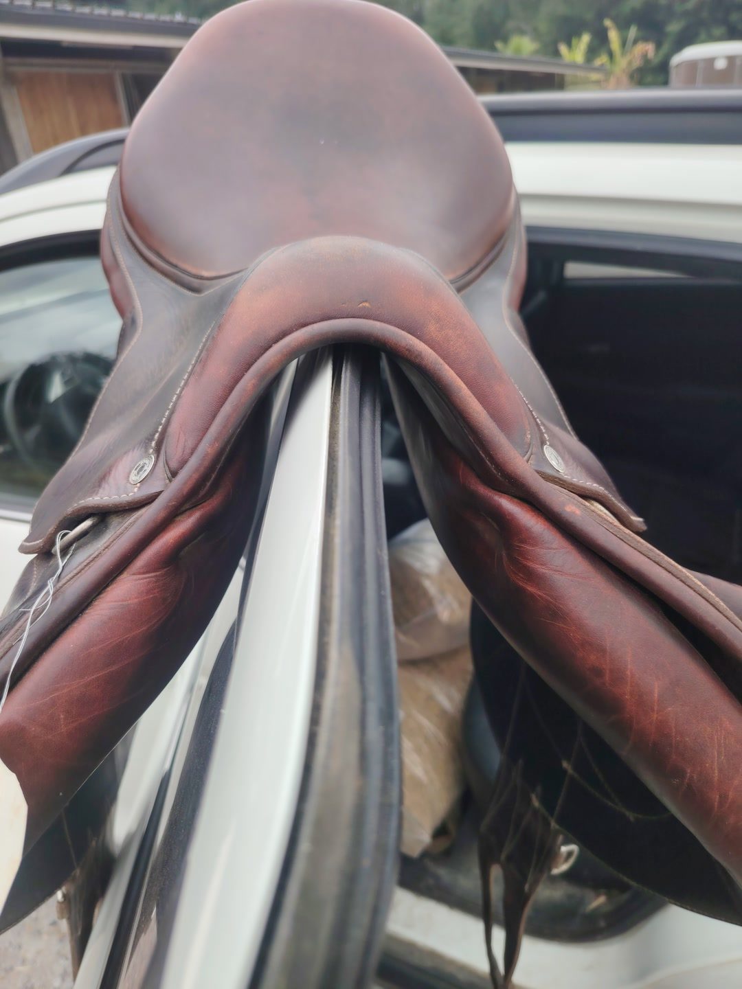 Selle Antares, média 5