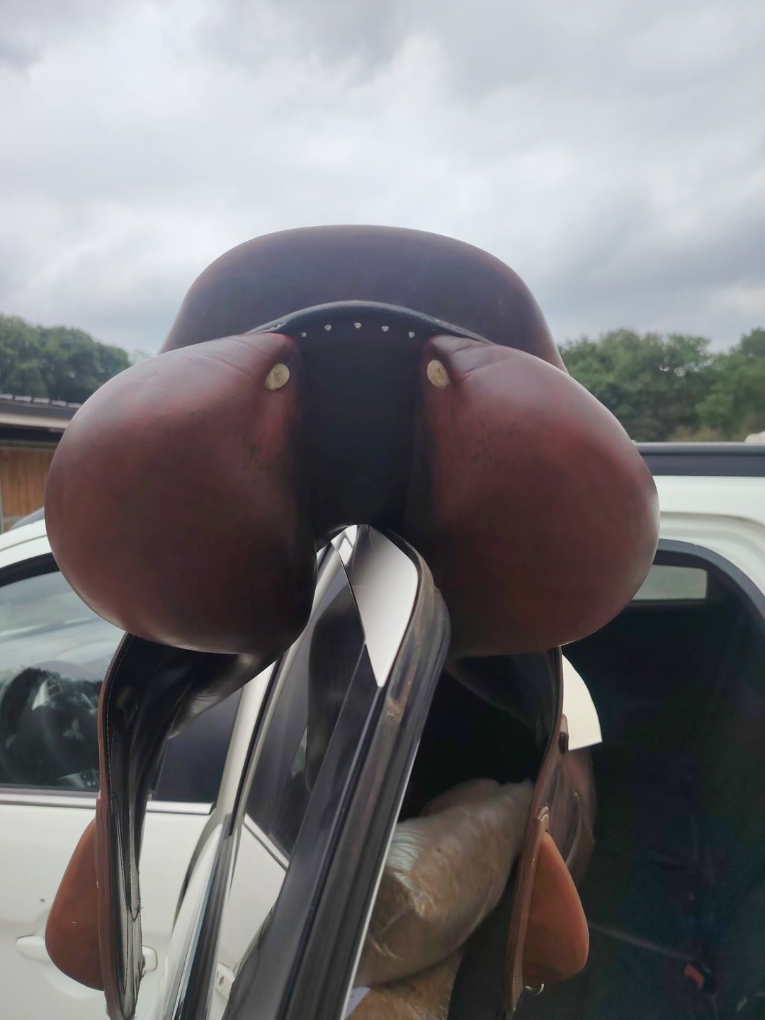 Selle Antares, média 3