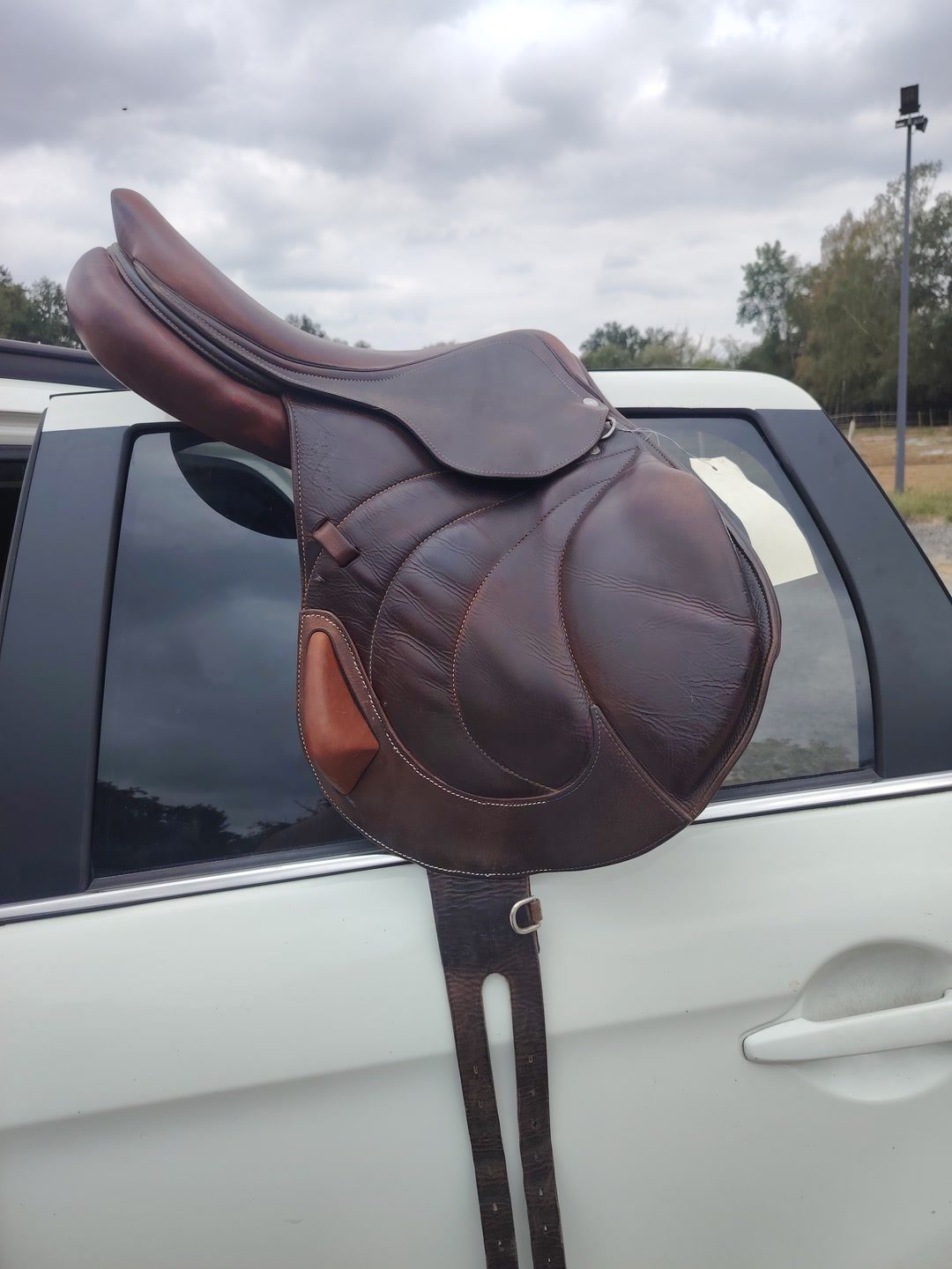 Selle Antares, média 2
