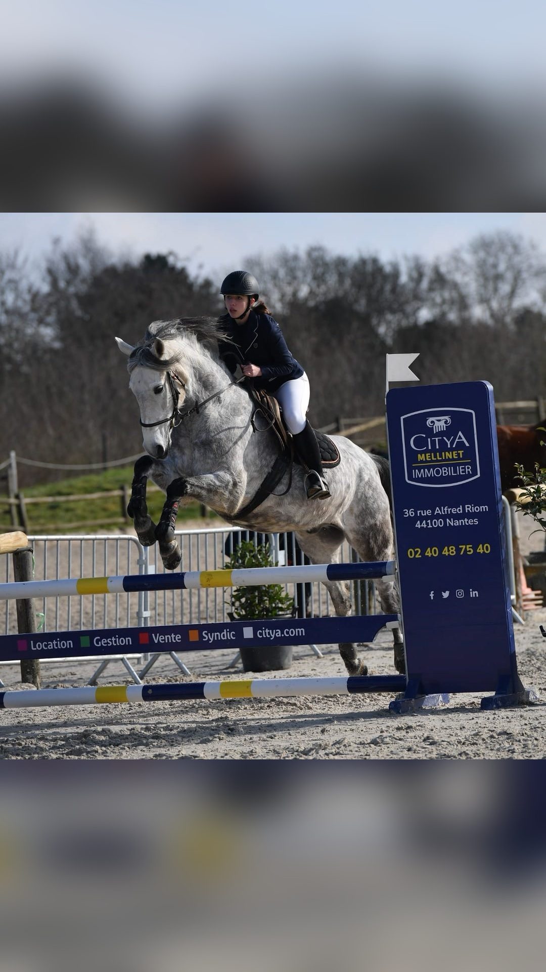 Cavalière jeune chevaux, média 7