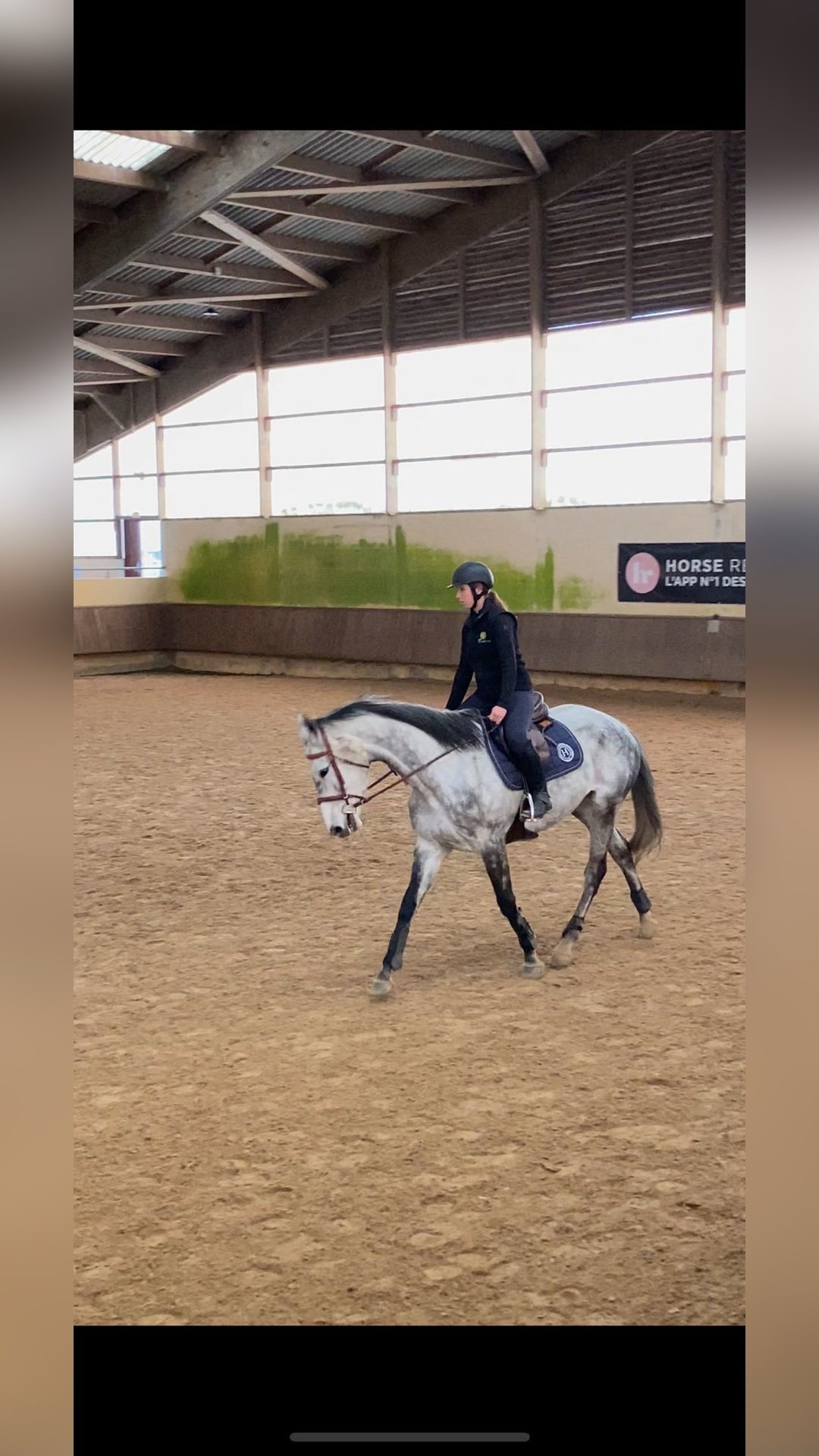 Cavalière jeune chevaux, média 6