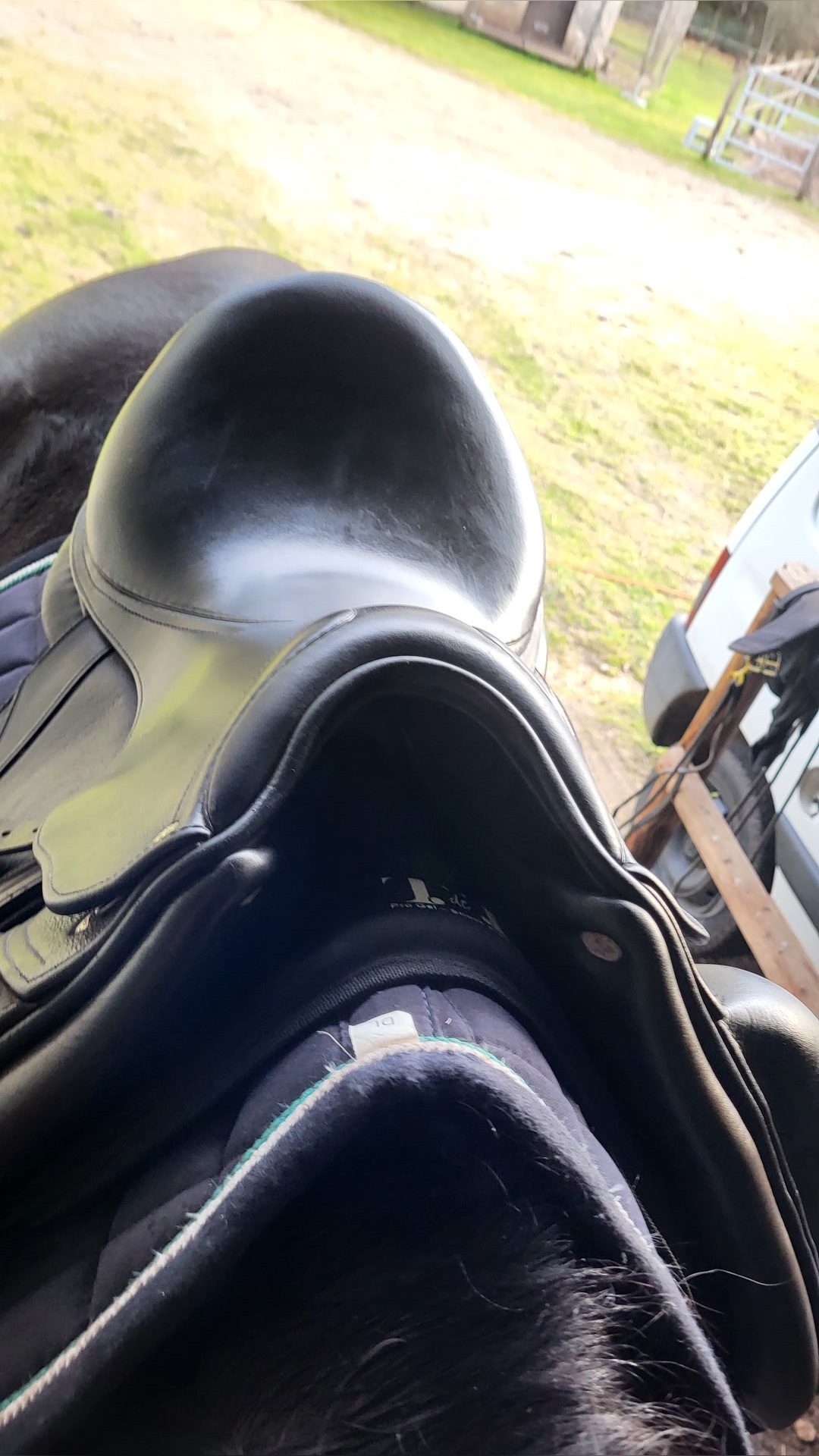 Selle de dressage, média 3