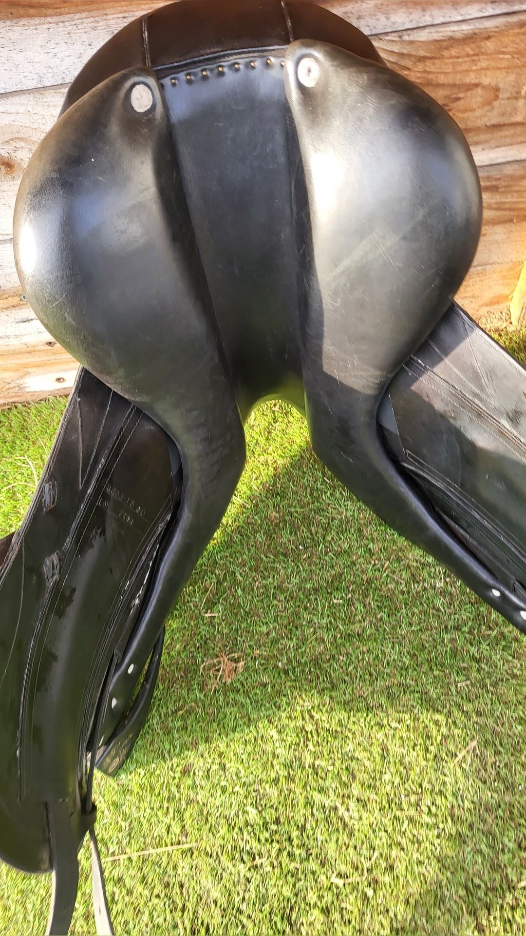 Selle de dressage, média 4