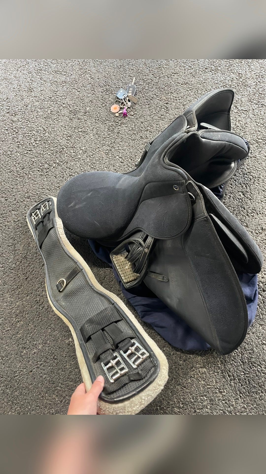 Selle daslo dressage, média 2