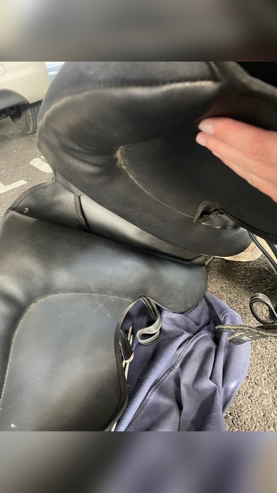 Selle daslo dressage, média 3