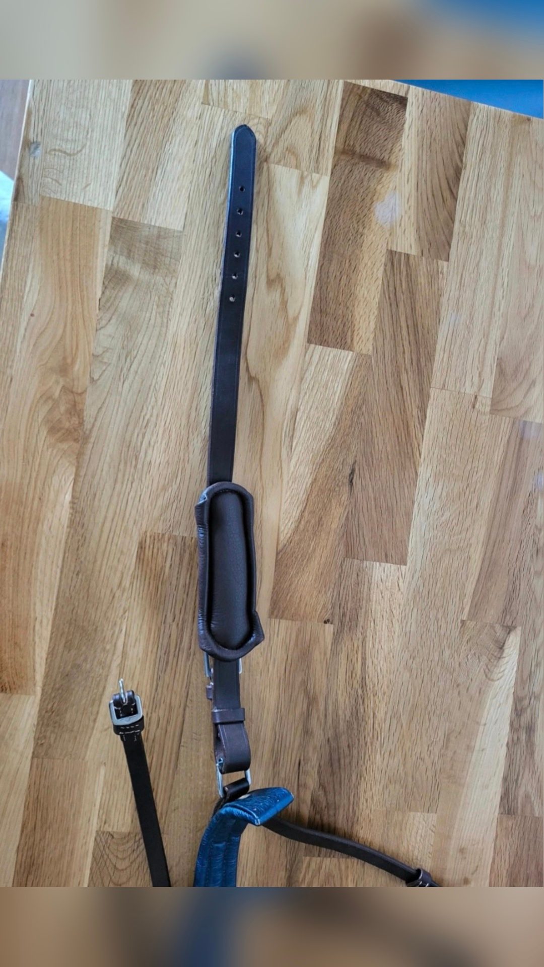 Muserolle avec noseband cuir, média 4
