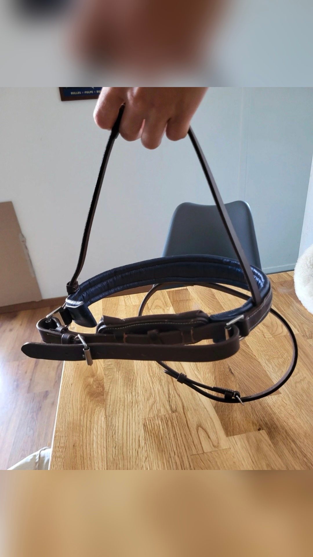 Muserolle avec noseband cuir, média 7