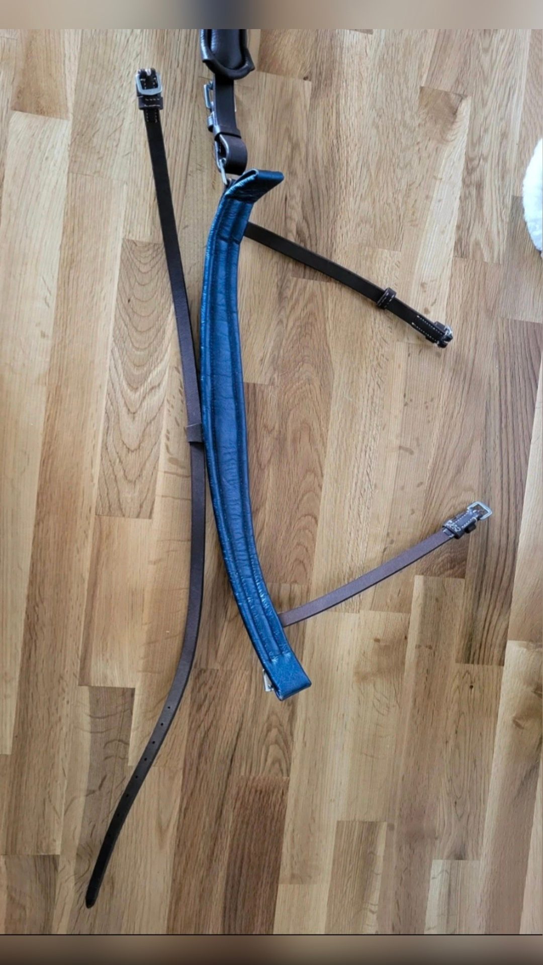 Muserolle avec noseband cuir, média 5