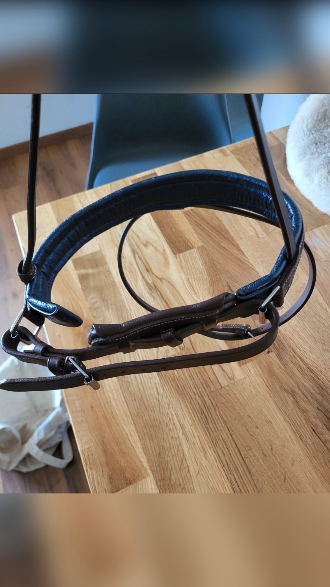 Muserolle avec noseband cuir, média 8