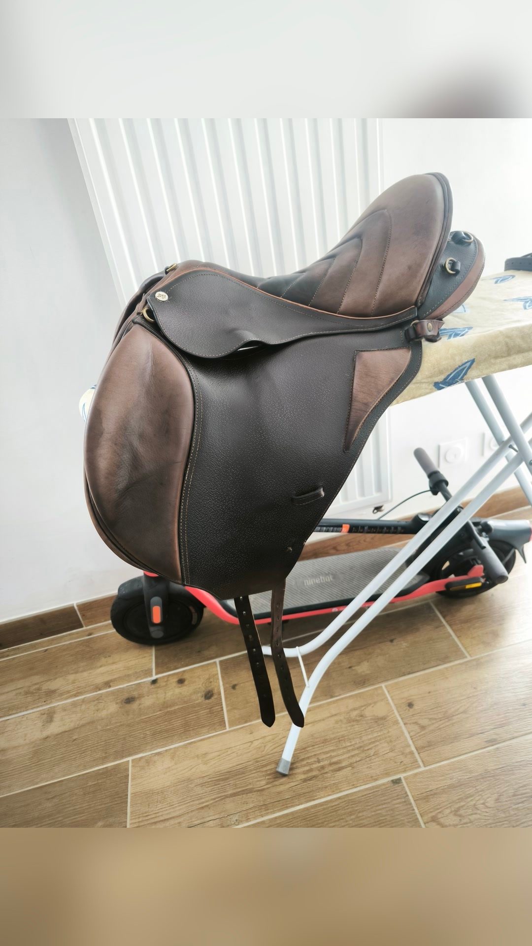 Selle baude luxury SB, média 2