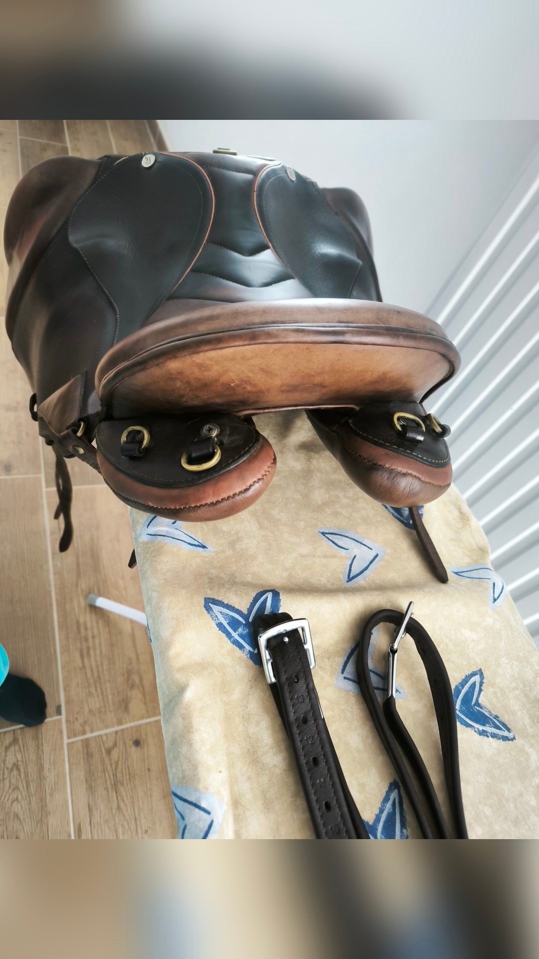 Selle baude luxury SB, média 6