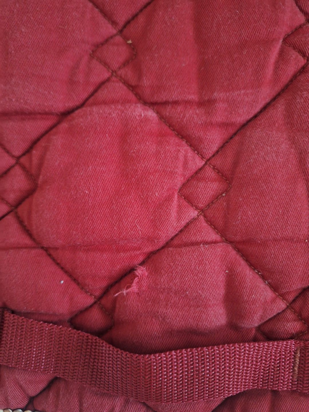 Tapis dressage, média 4