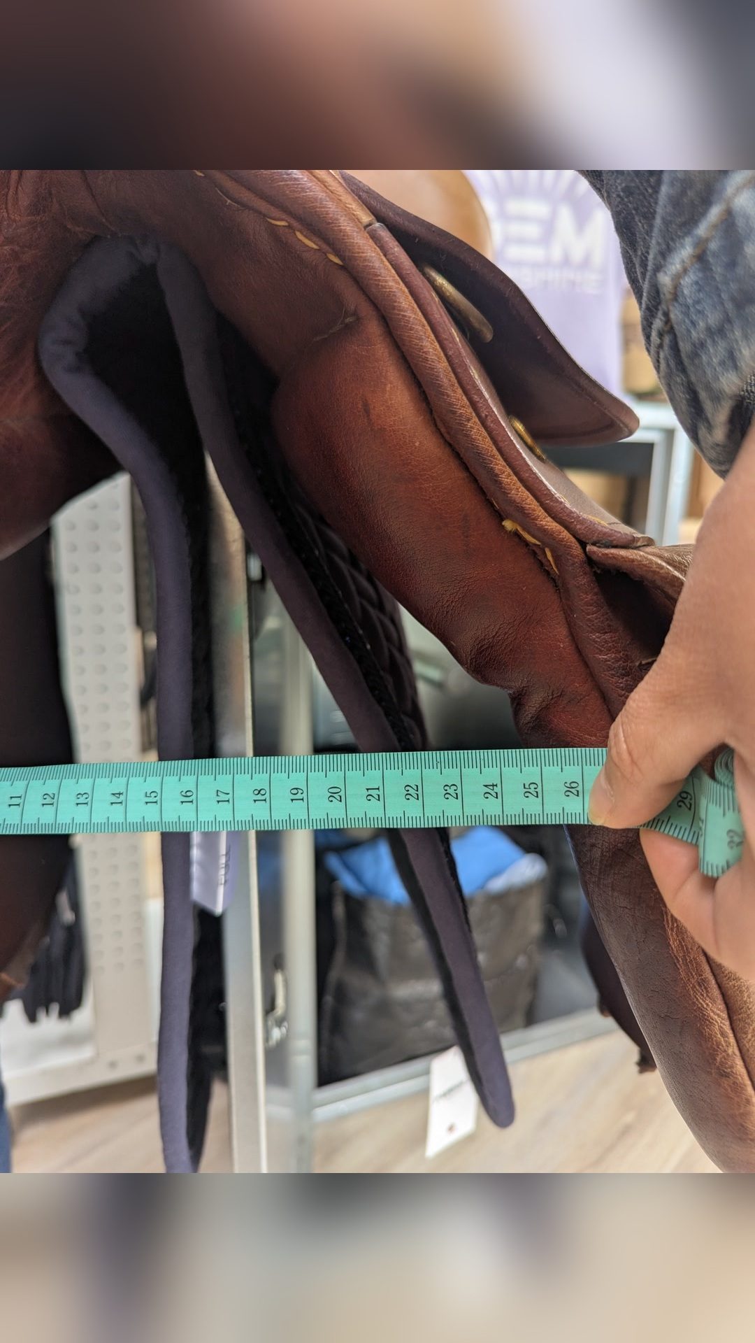 Selle Anglaise, média 4