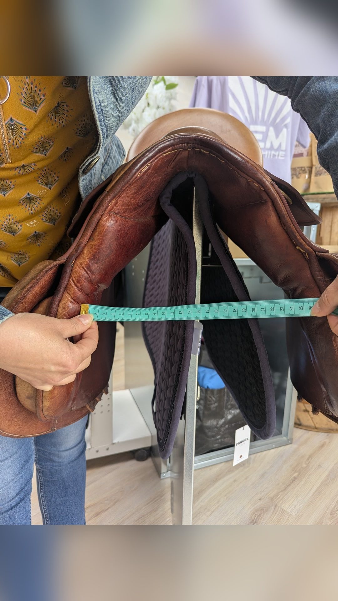 Selle Anglaise, média 3