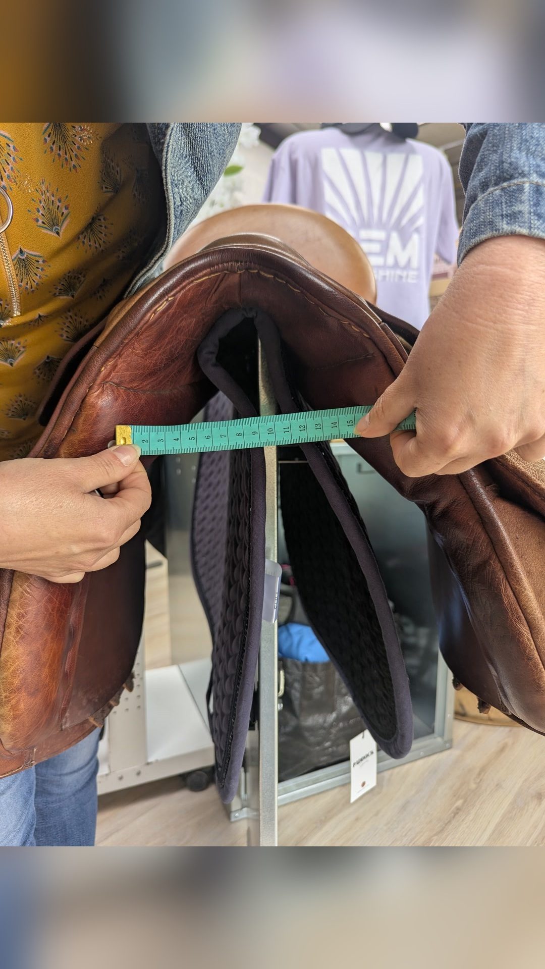 Selle Anglaise, média 5