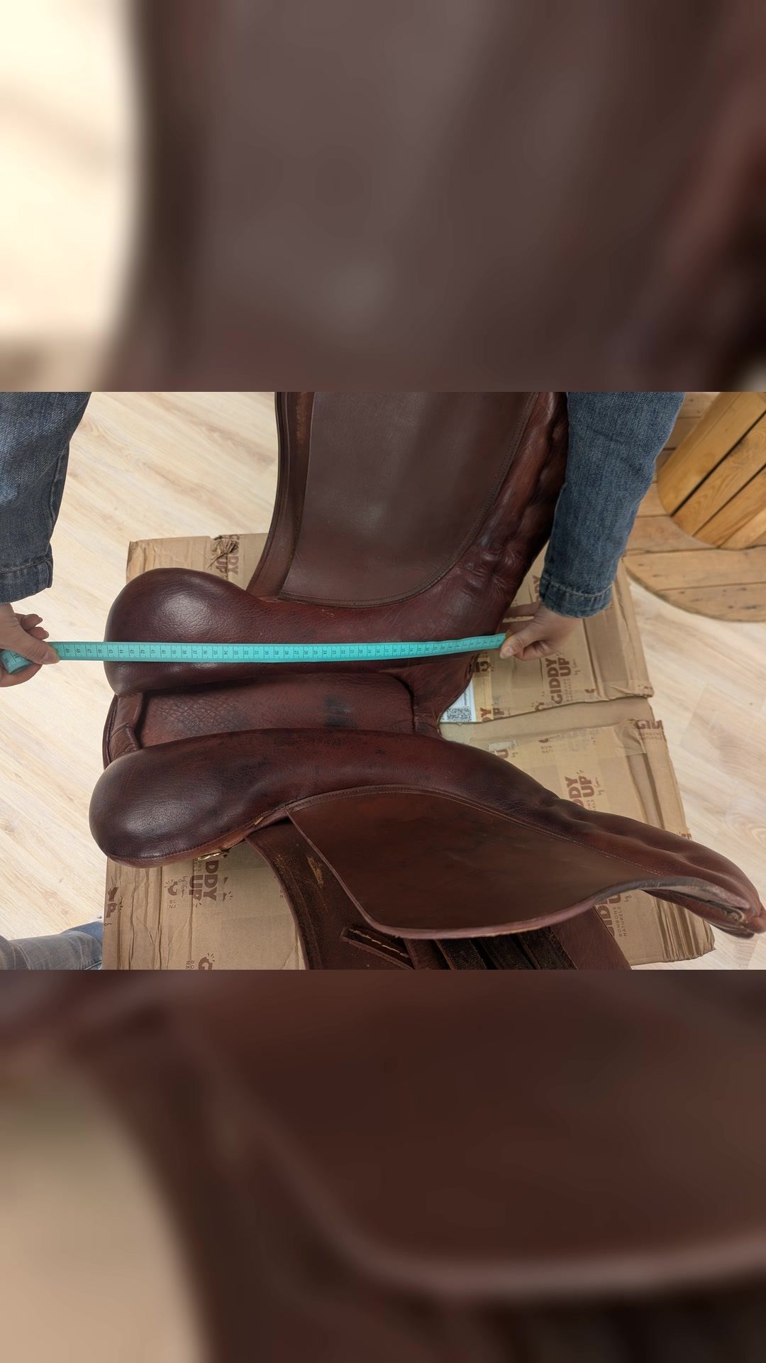 Selle Anglaise, média 7