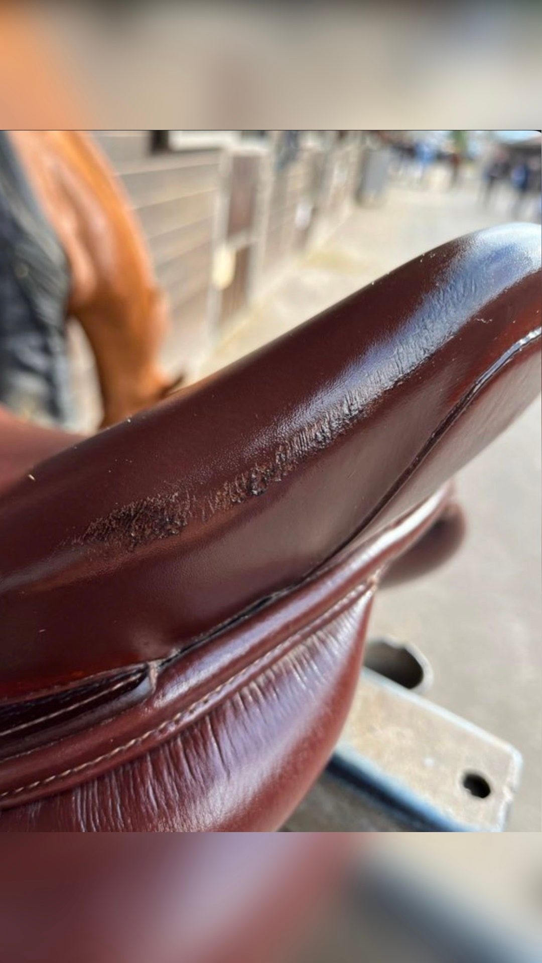 Selle 17,5, média 6