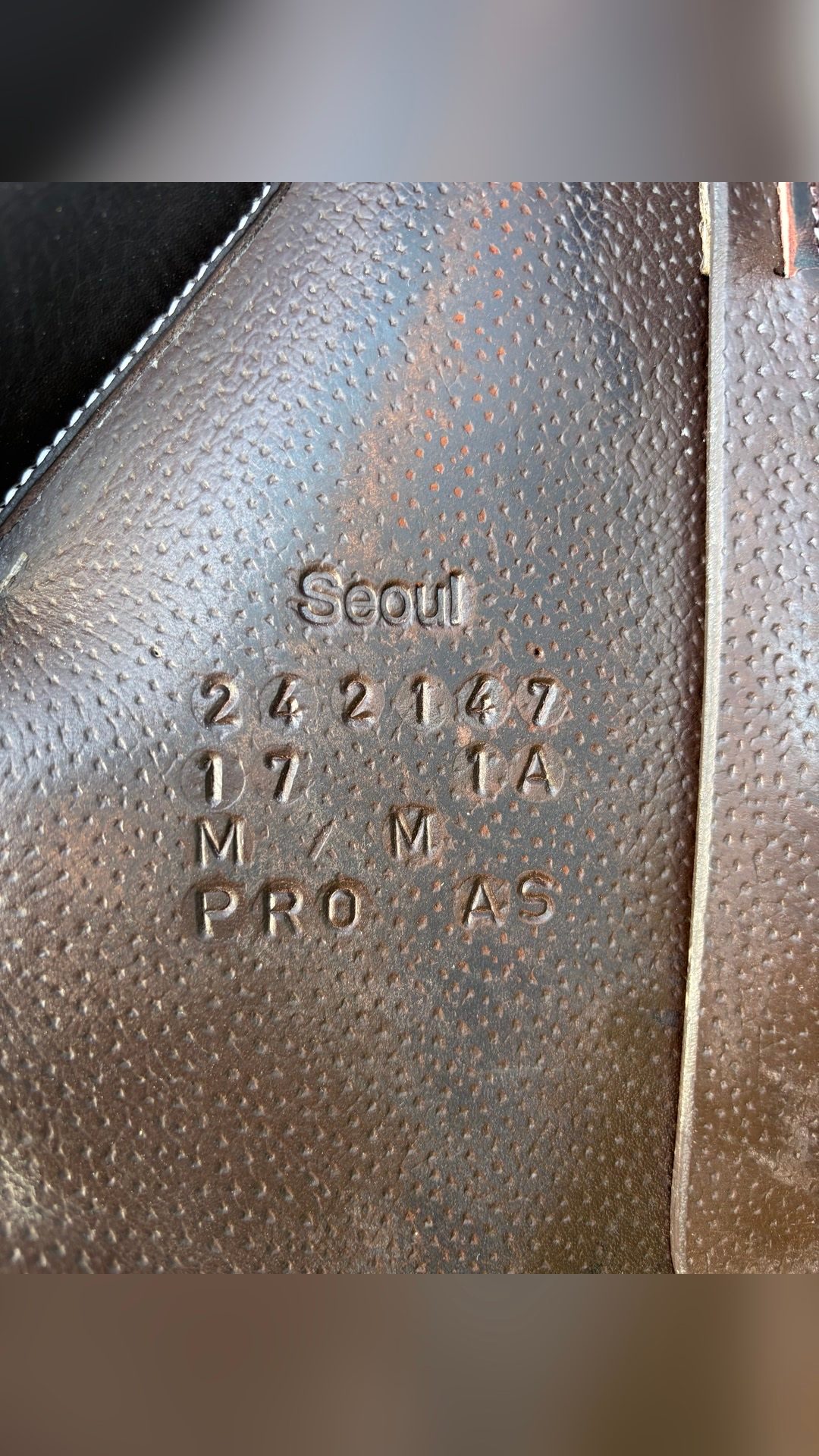 Selle Forestier, média 3