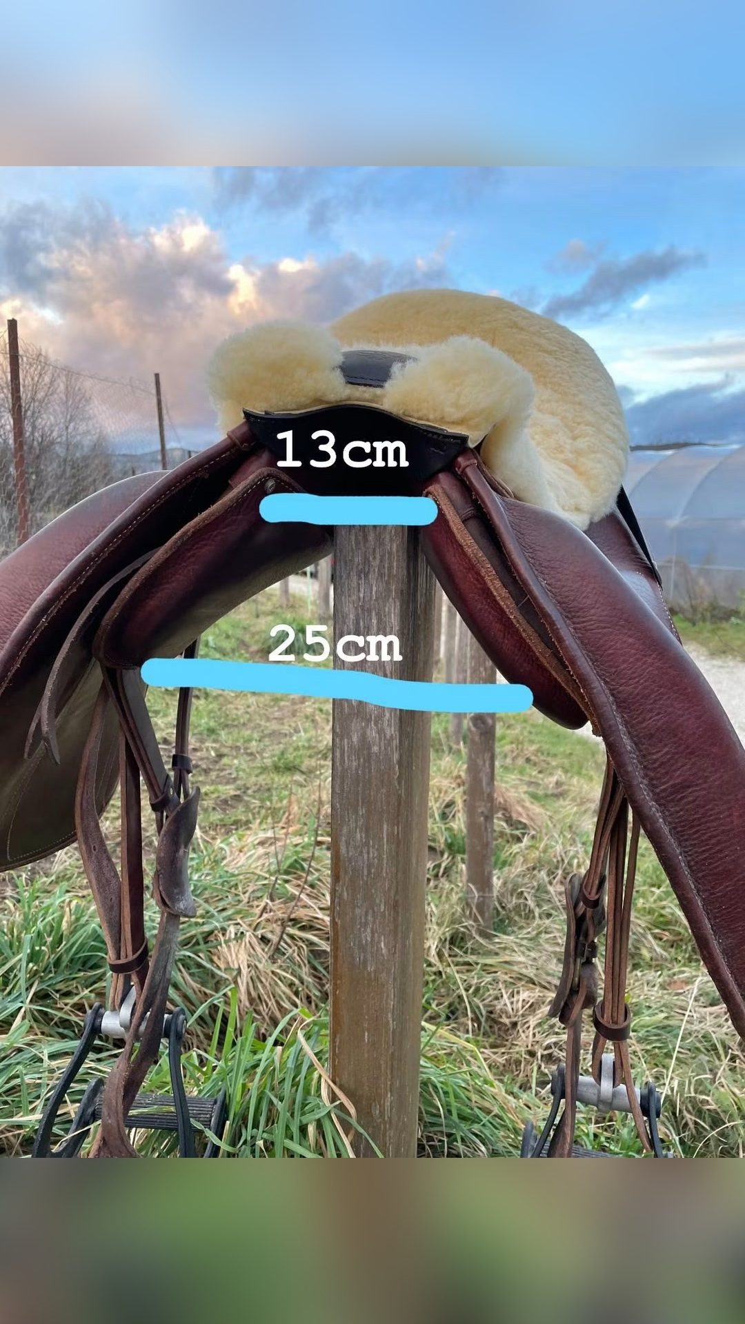 Selle Th cuir, média 3