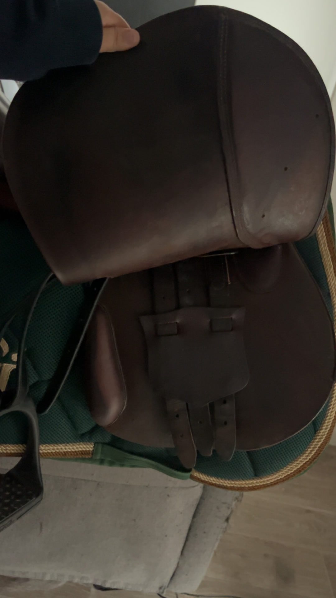 Selle forestier, média 5