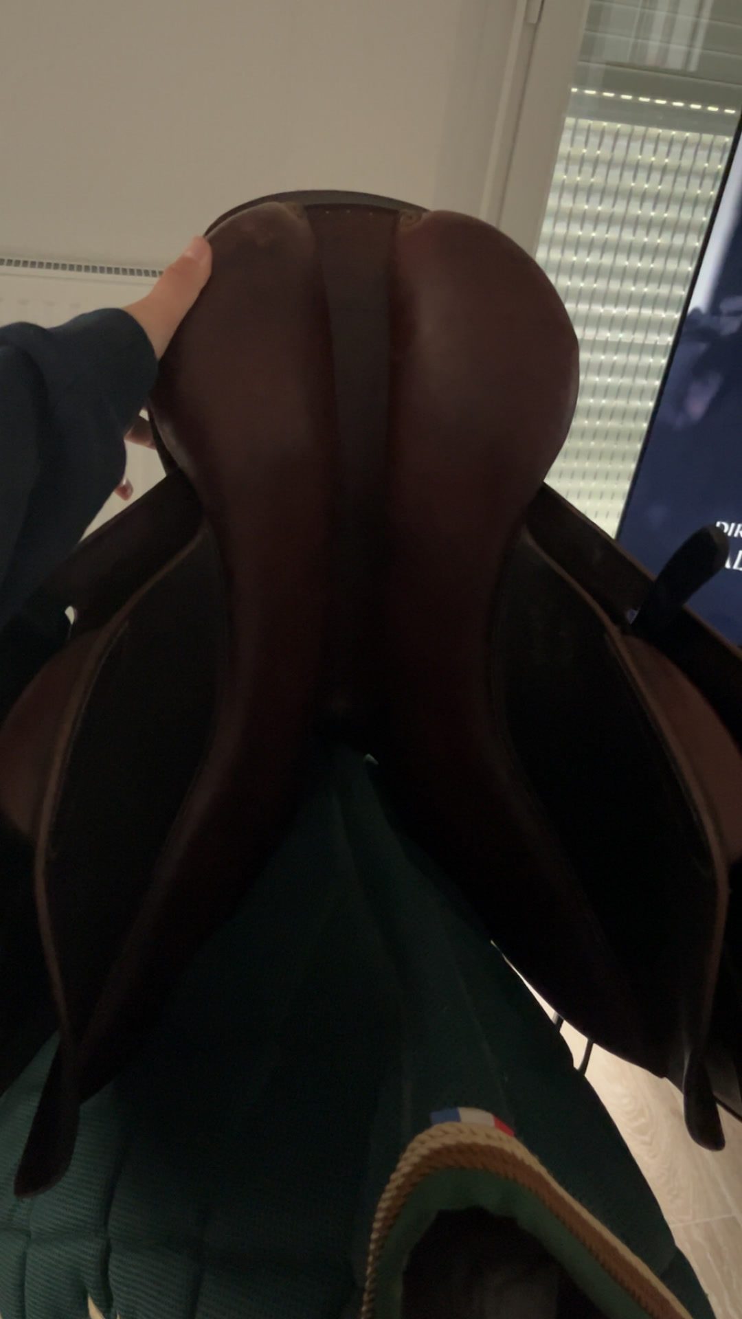 Selle forestier, média 6
