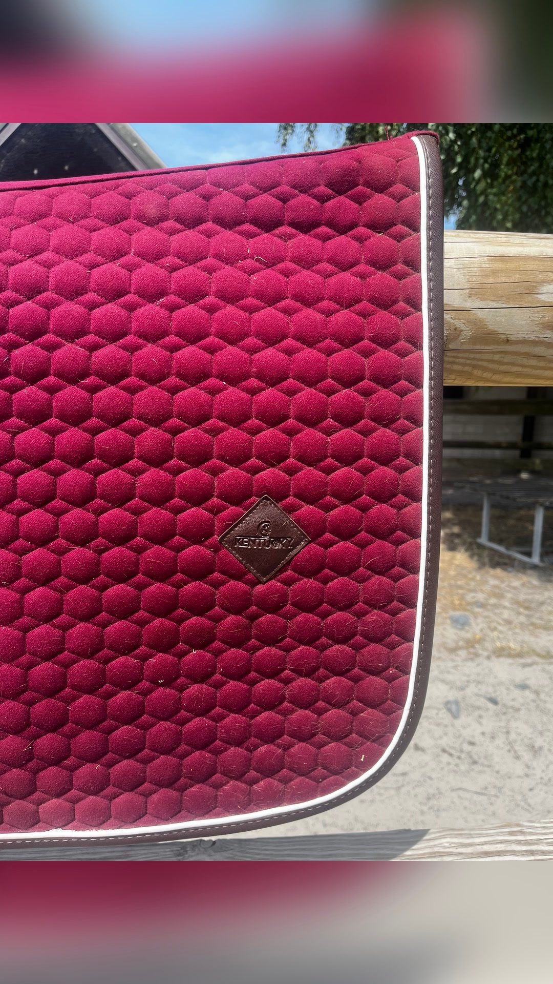 Tapis Kentucky Jumping, média 2