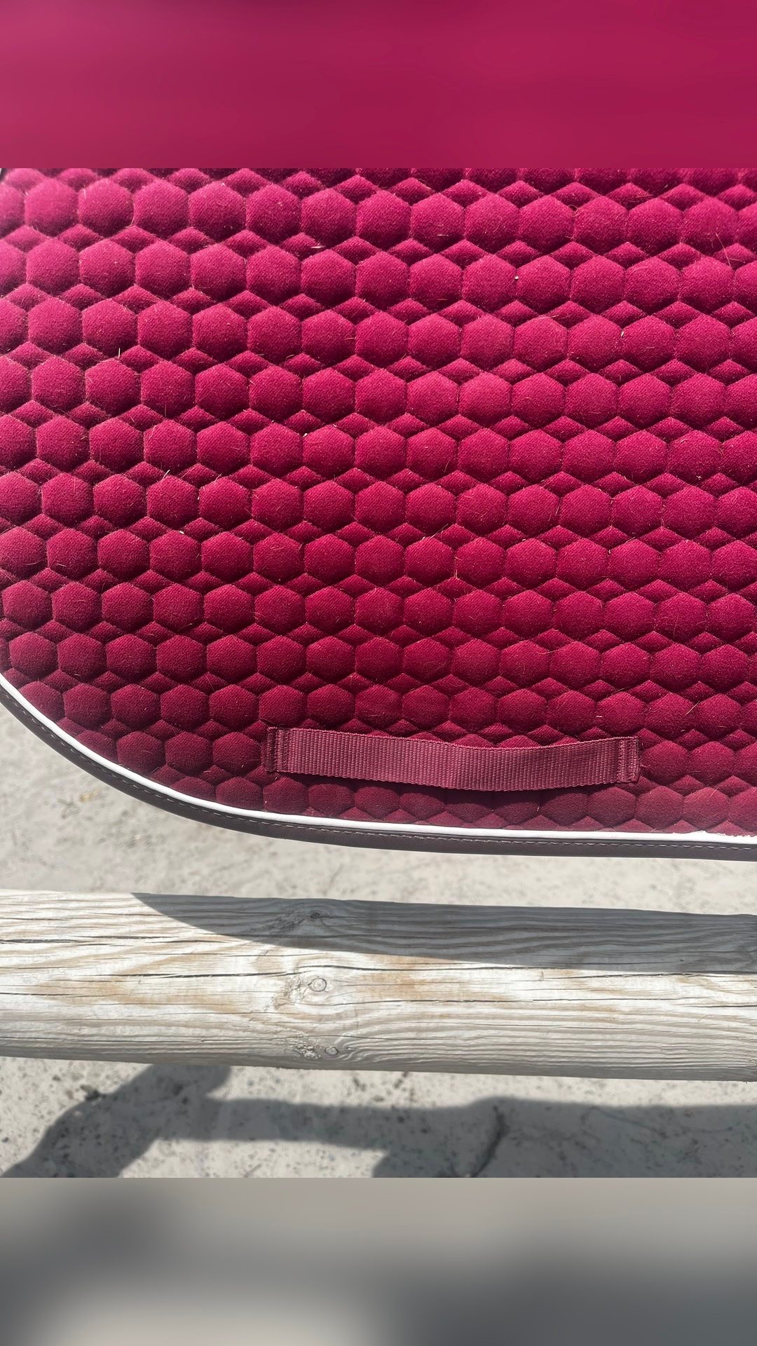 Tapis Kentucky Jumping, média 4