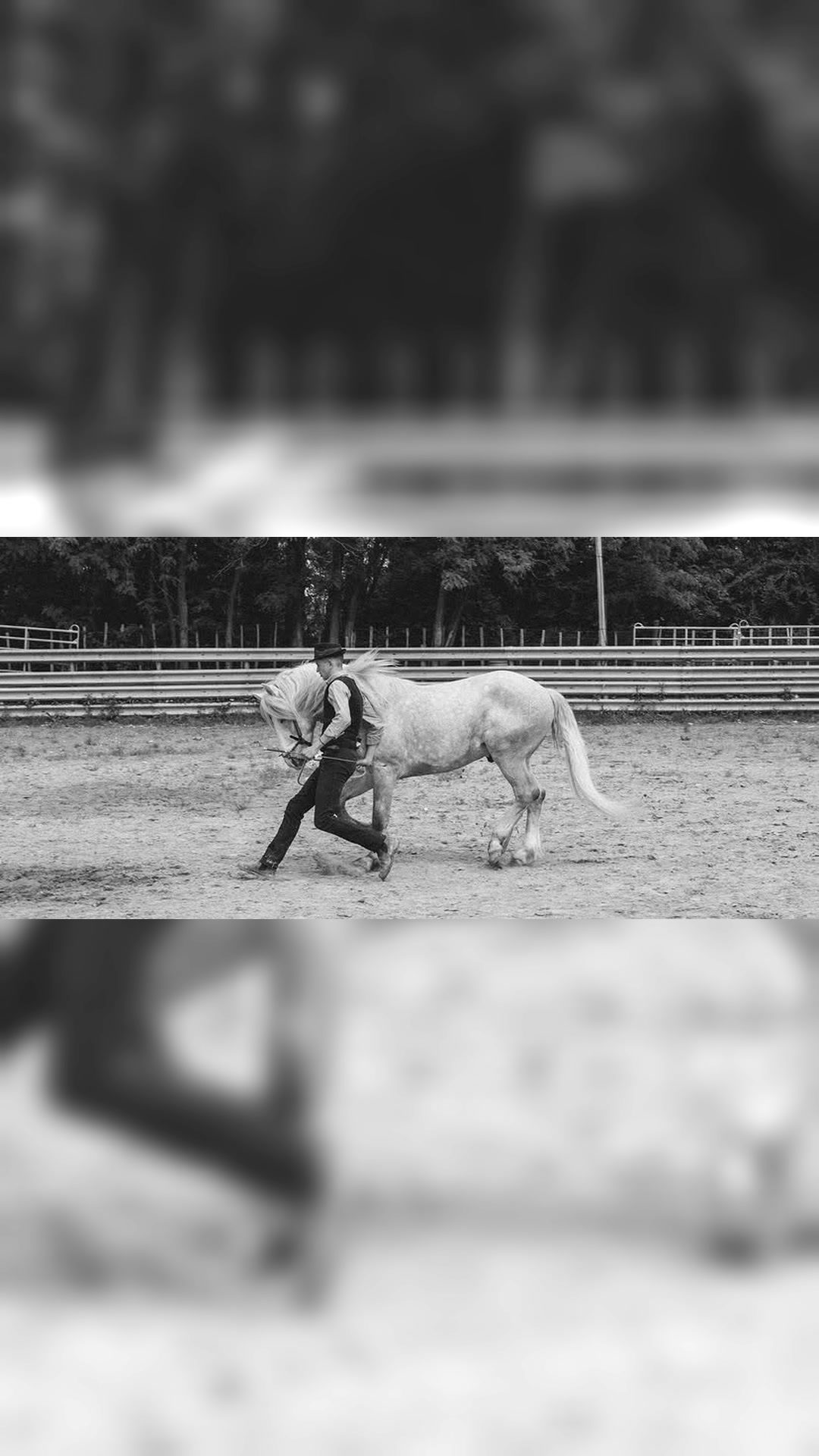 Photographe équin – Des souvenirs uniques de votre cheval, média 3
