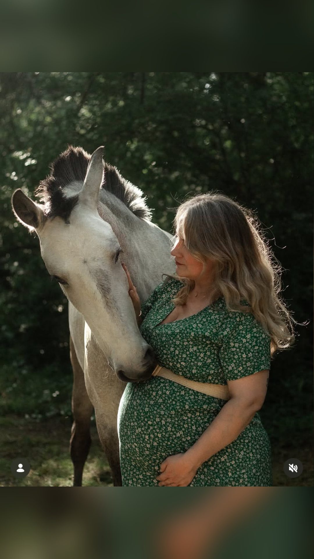Photographe équin – Des souvenirs uniques de votre cheval, média 4