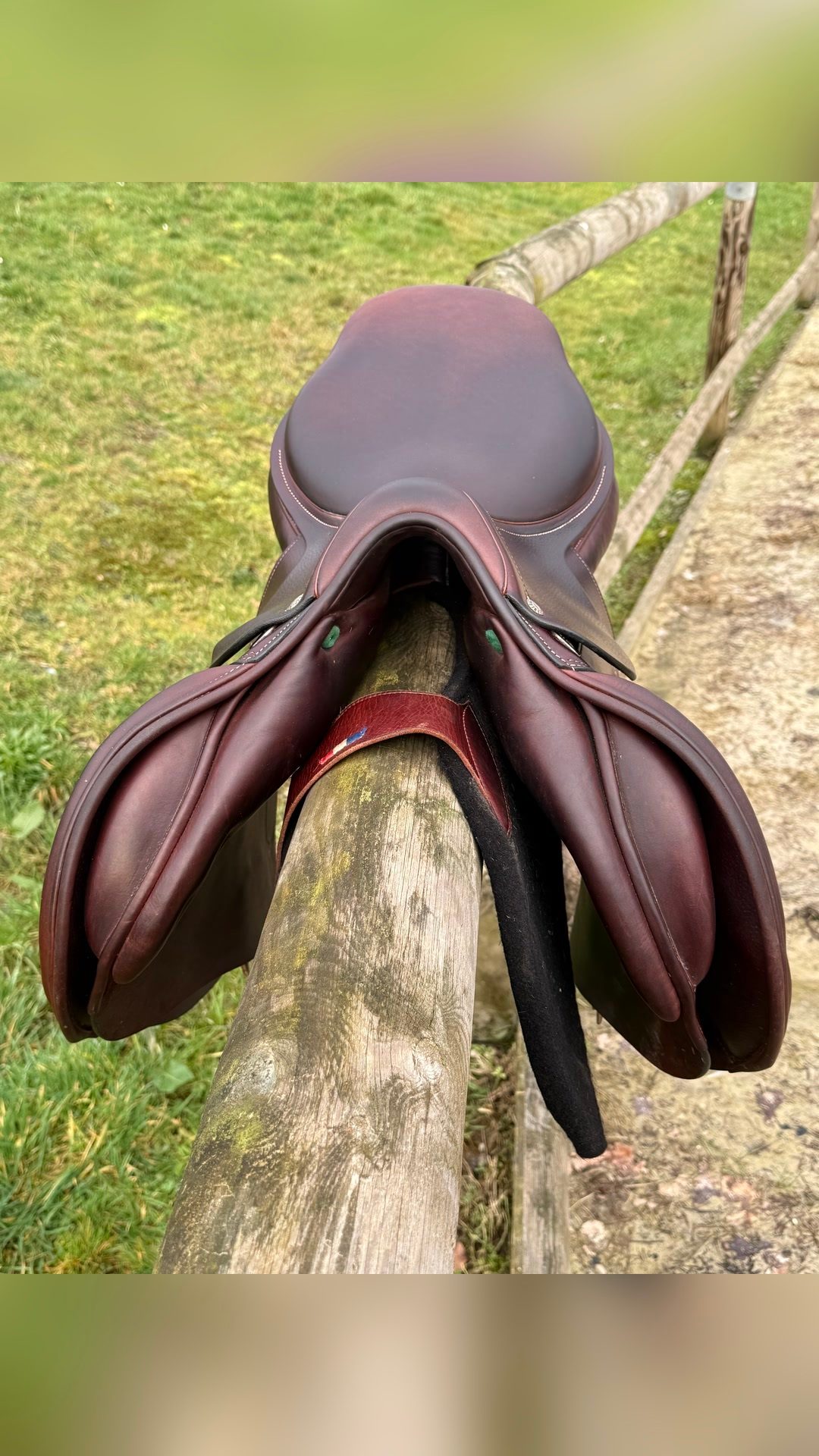 Selle Amerigo 17,5, média 2
