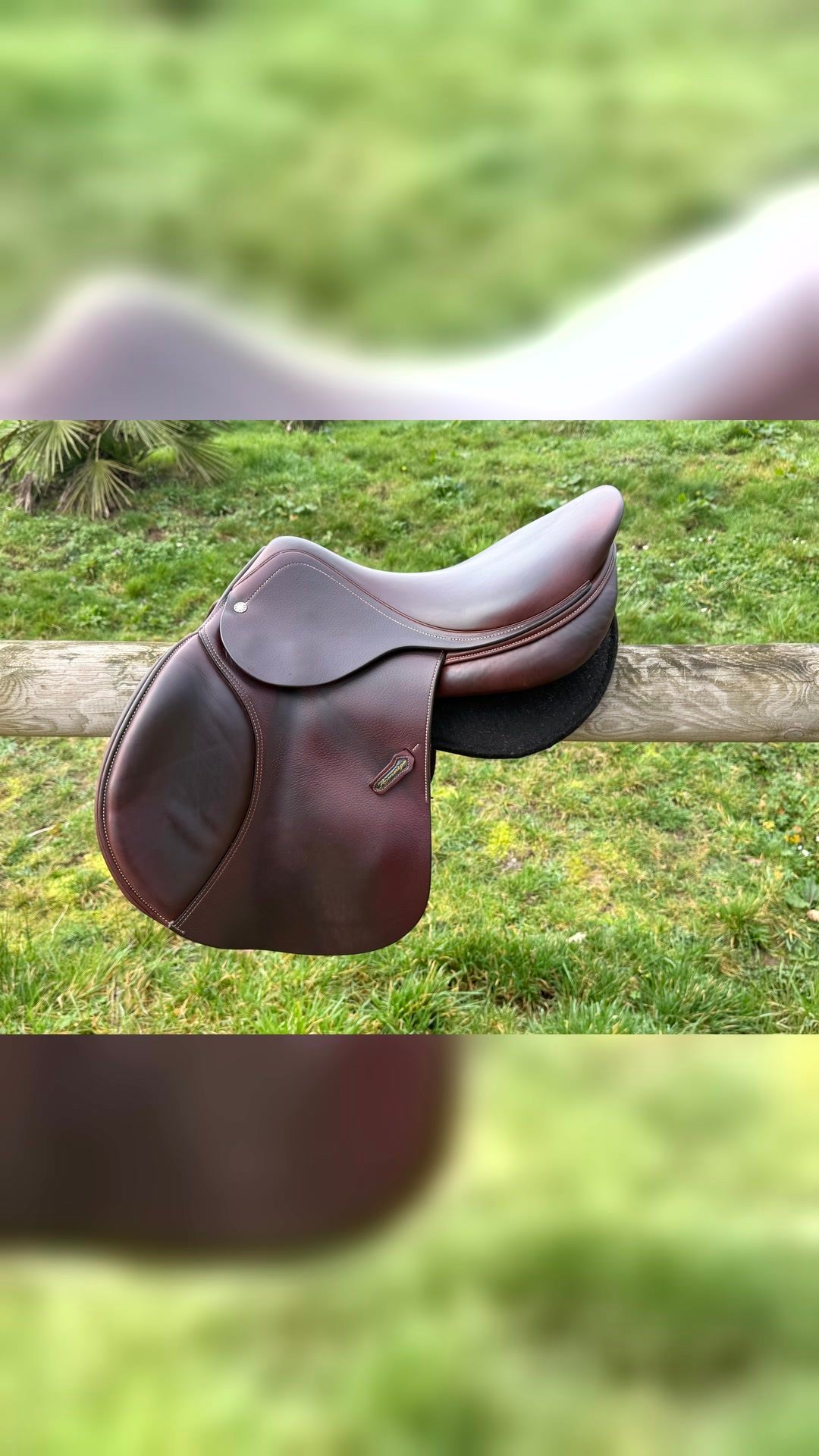 Selle Amerigo 17,5, média 3