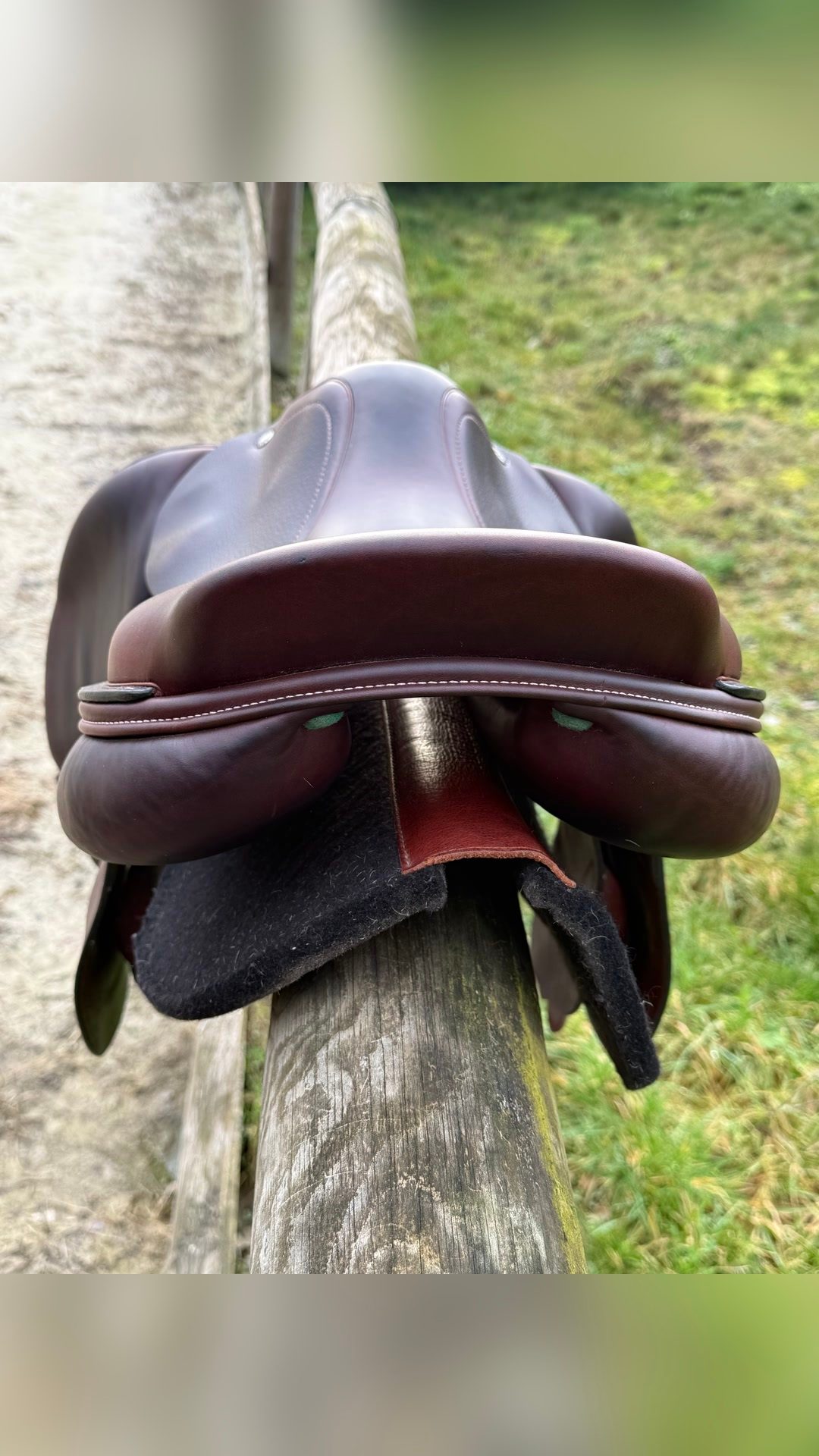 Selle Amerigo 17,5, média 5