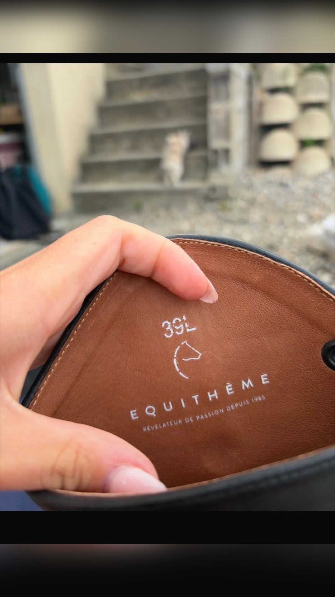 Bottes Equitheme, média 7